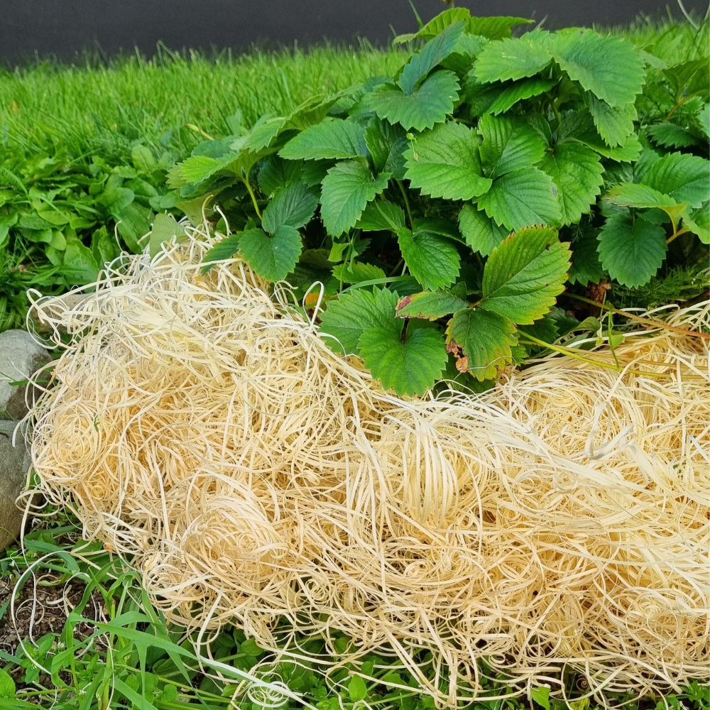 Träull Bal 8-10kg